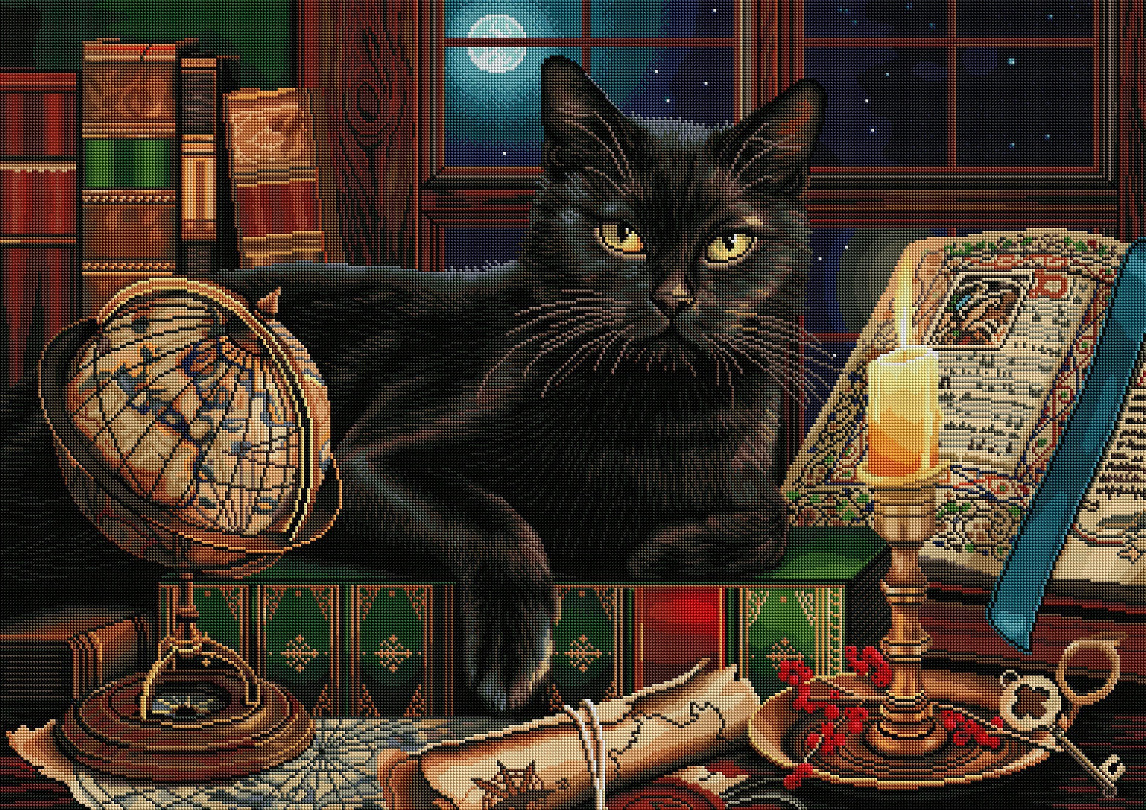 Black Cat by Candlelight