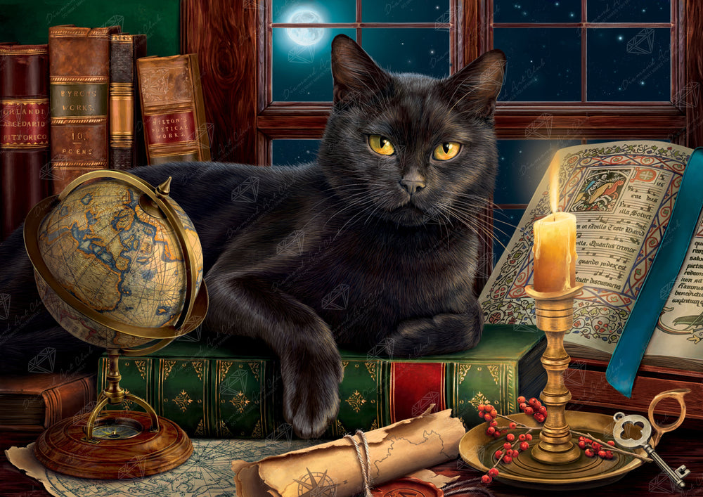 Black Cat by Candlelight P3