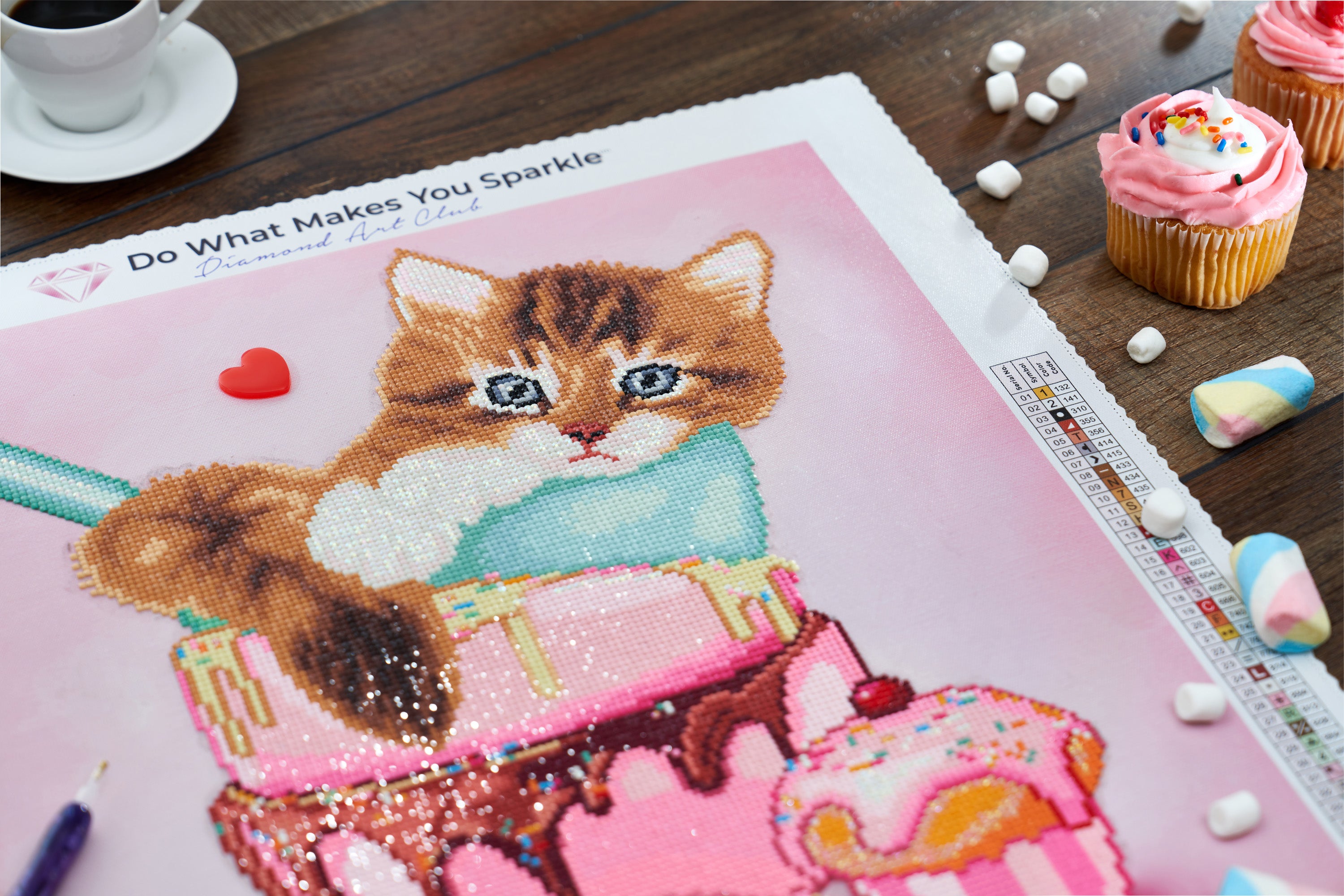 Cat & Cupcake