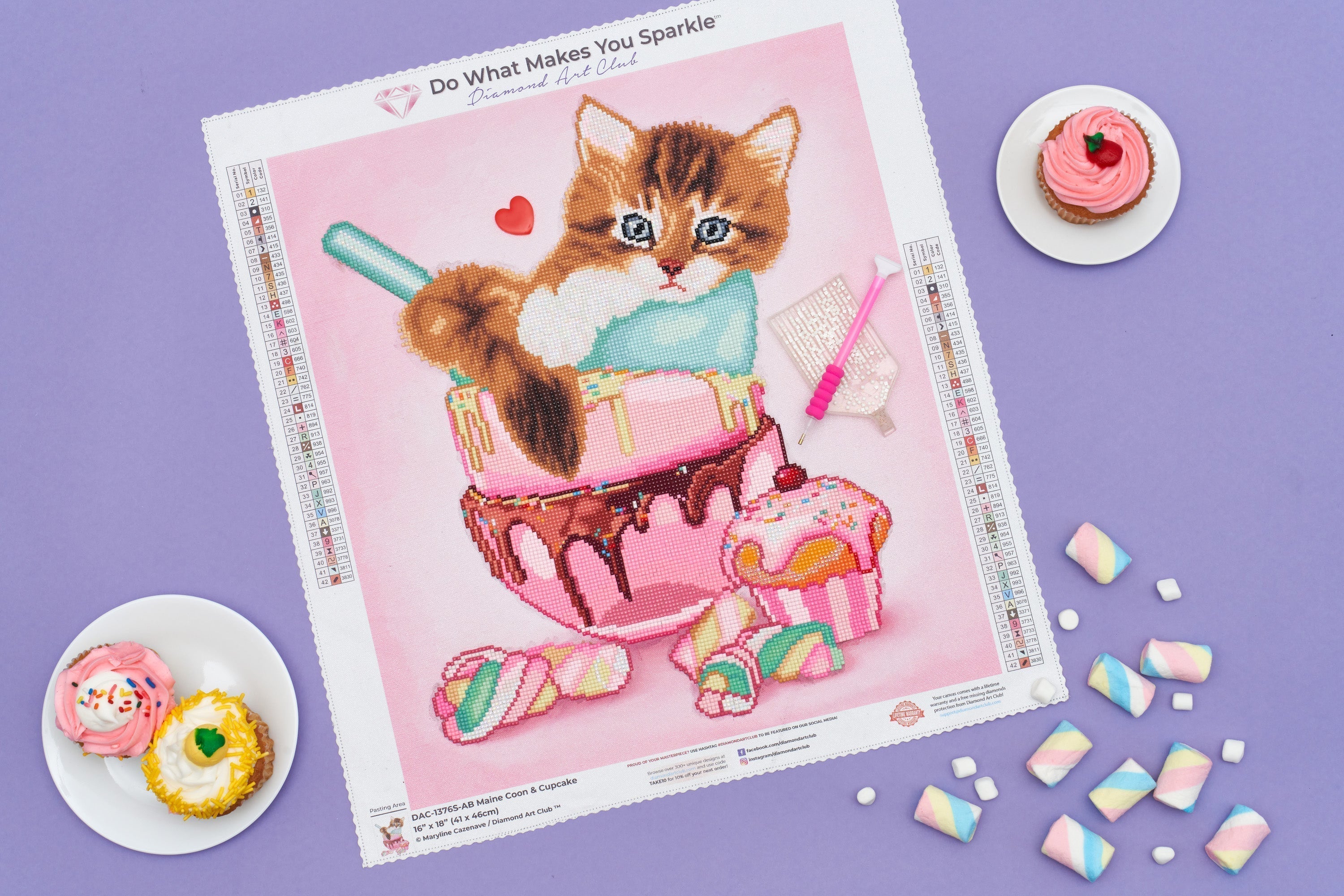 Cat & Cupcake