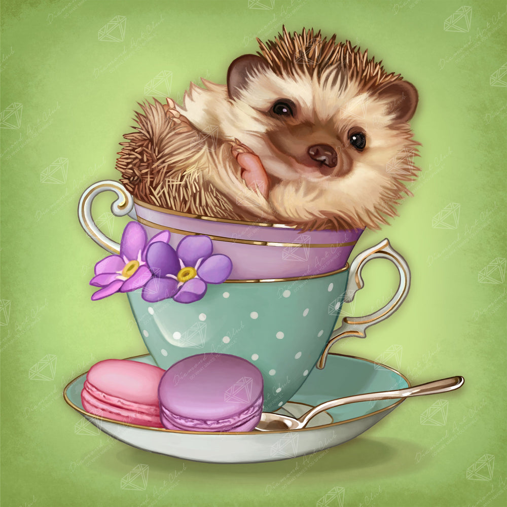 Hedgehog J4
