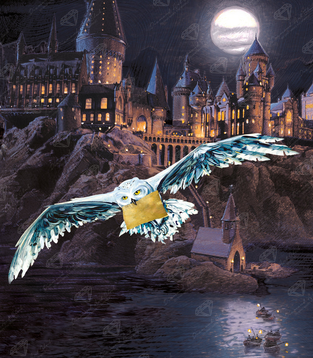 Hogwarts™ and Hedwig™ F3
