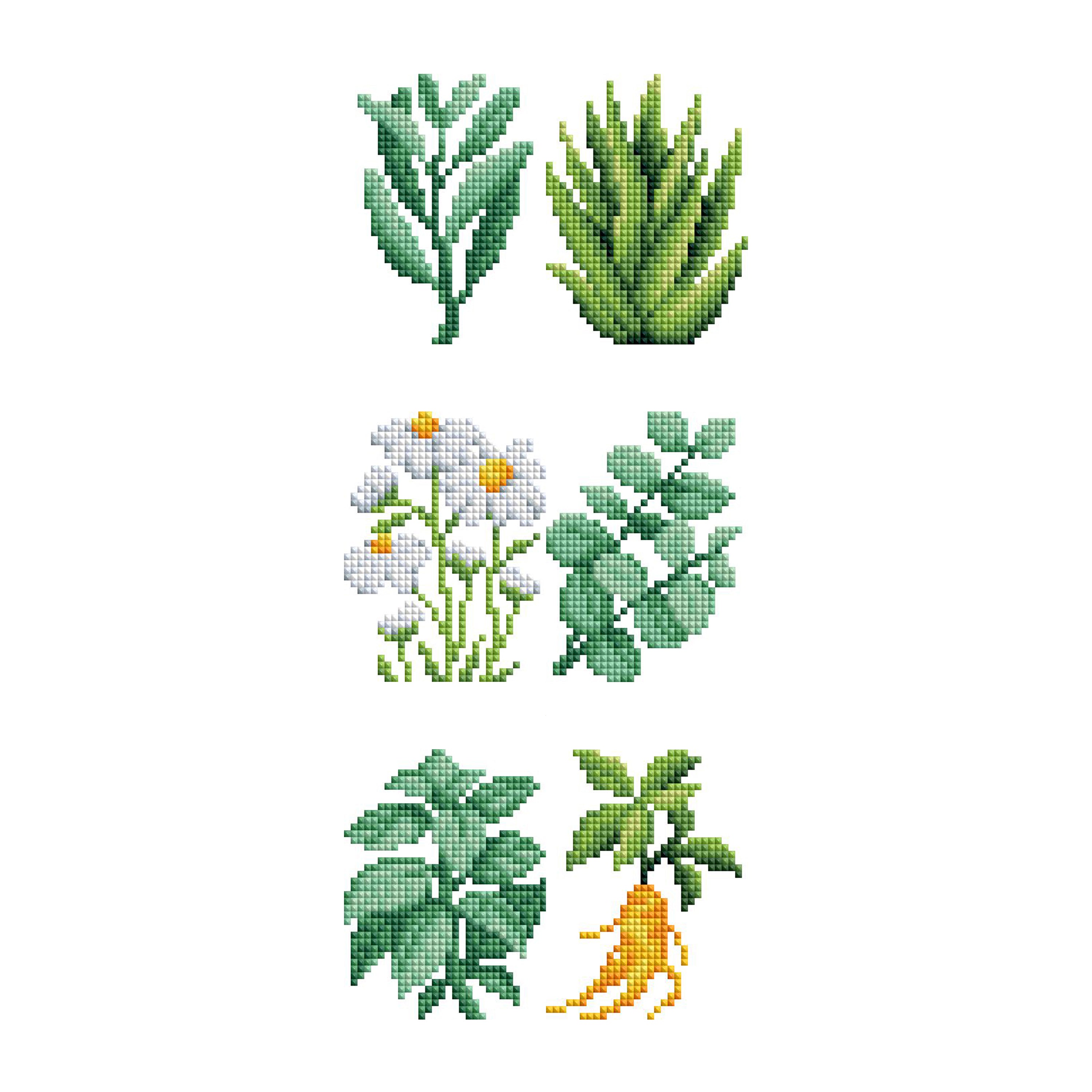 Mini Dazzles™ - Herbs & Medicinal Plants