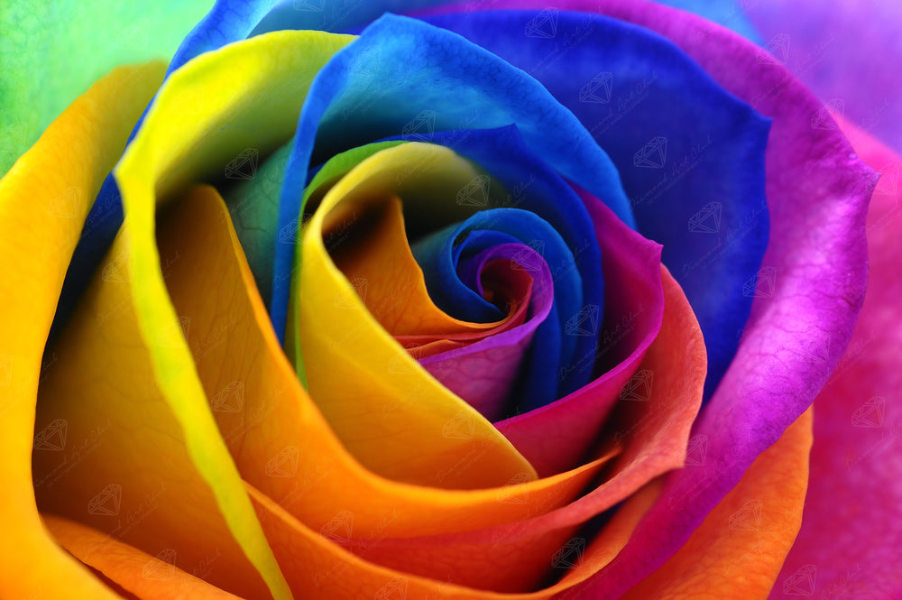 Rainbow Flower Petals R0
