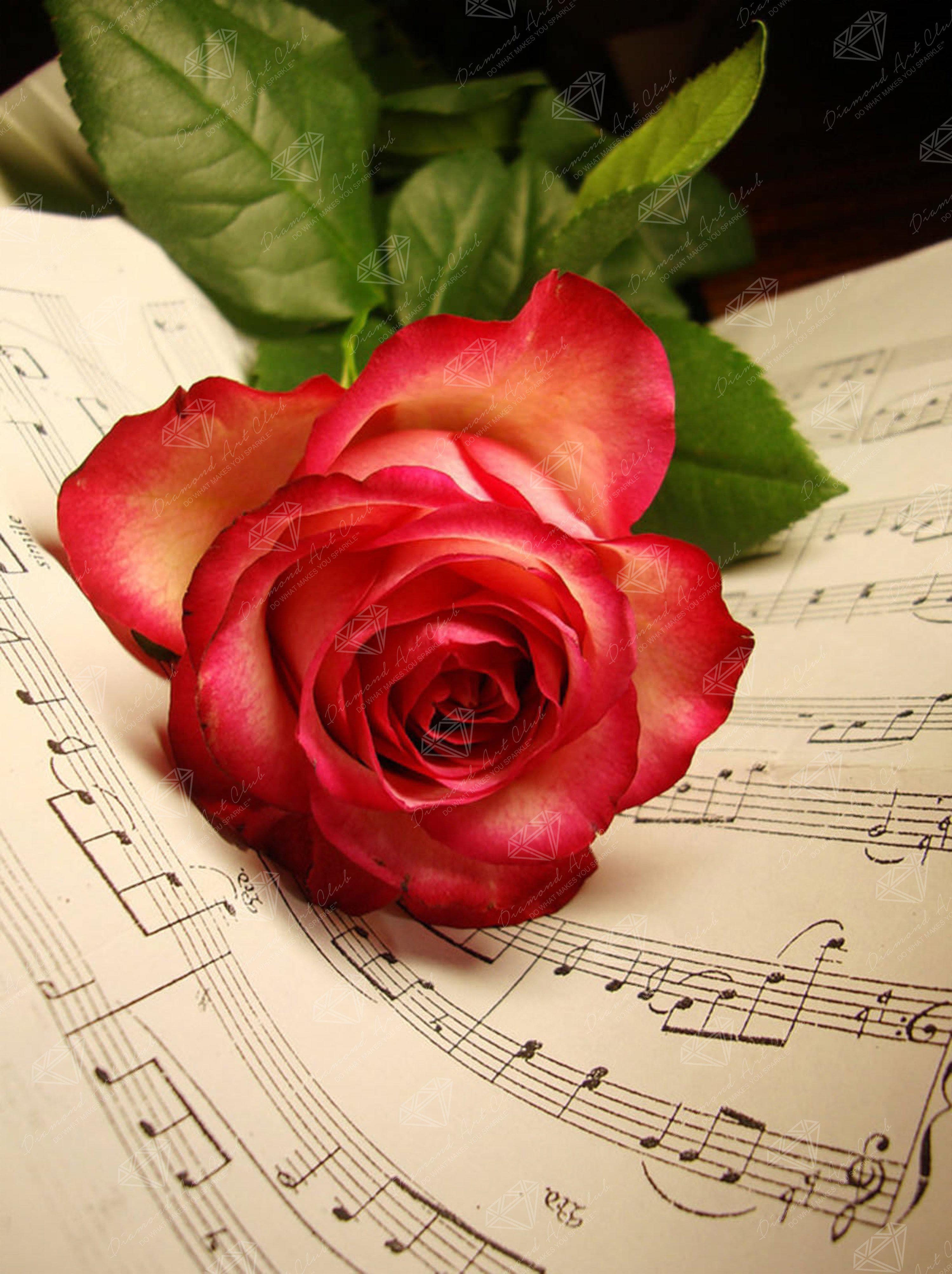Rose Music Sheet