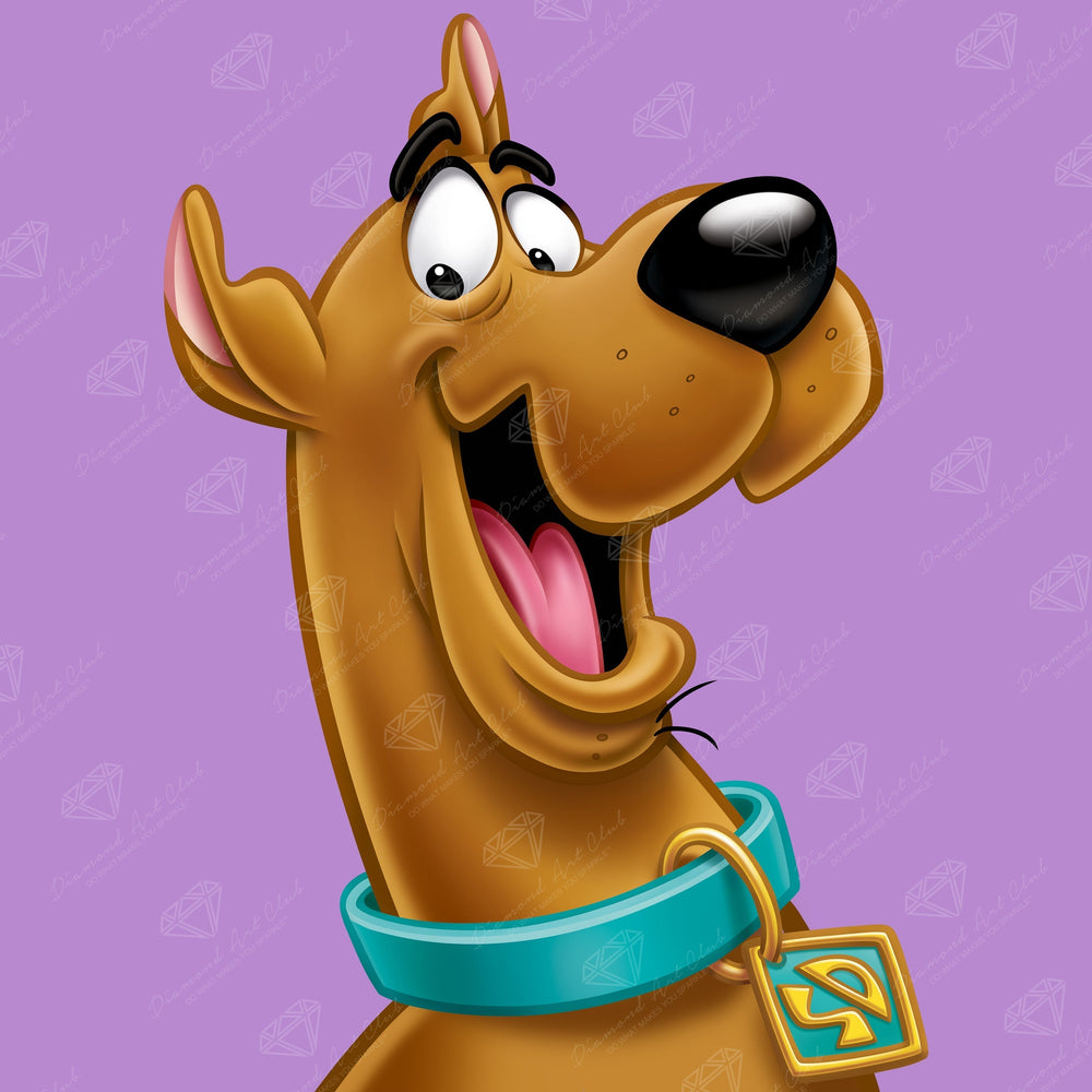 Scooby Dooby Doo A3