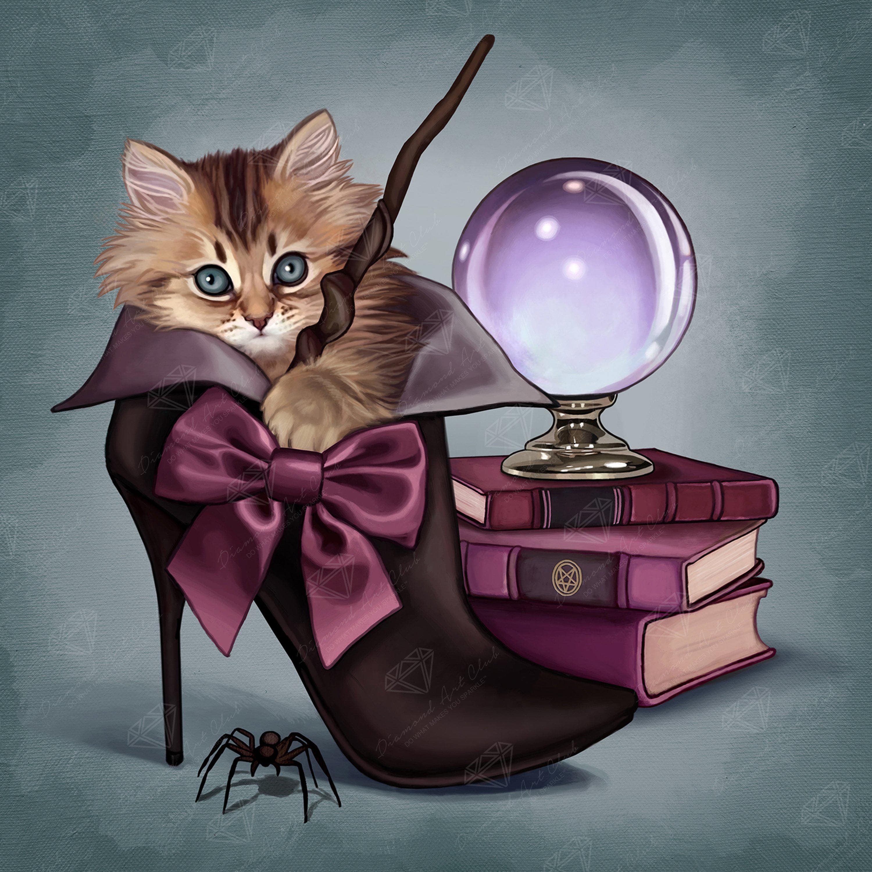 Wizard Kitten