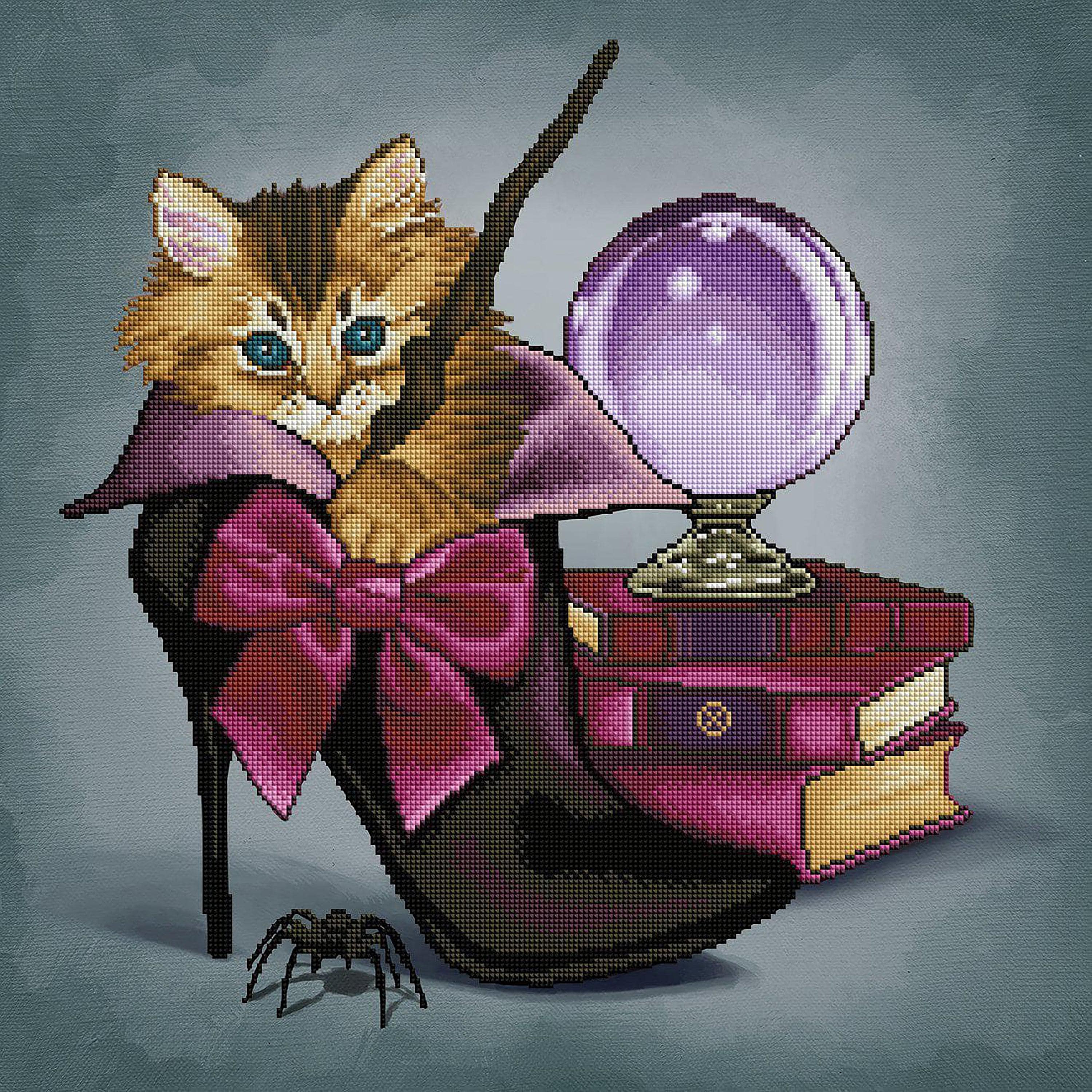 Wizard Kitten