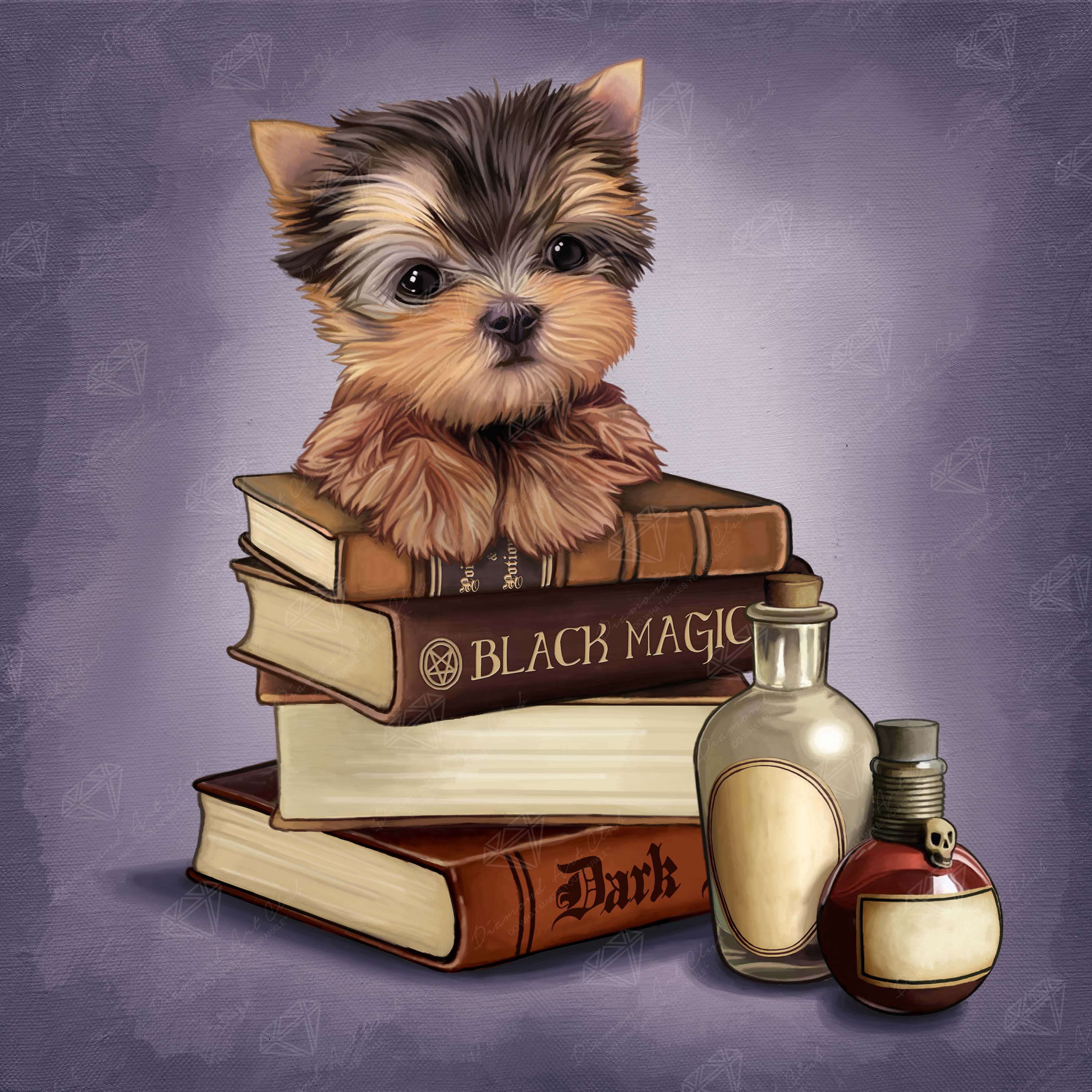 Yorkie & Magic Books