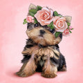 Yorkie & Roses