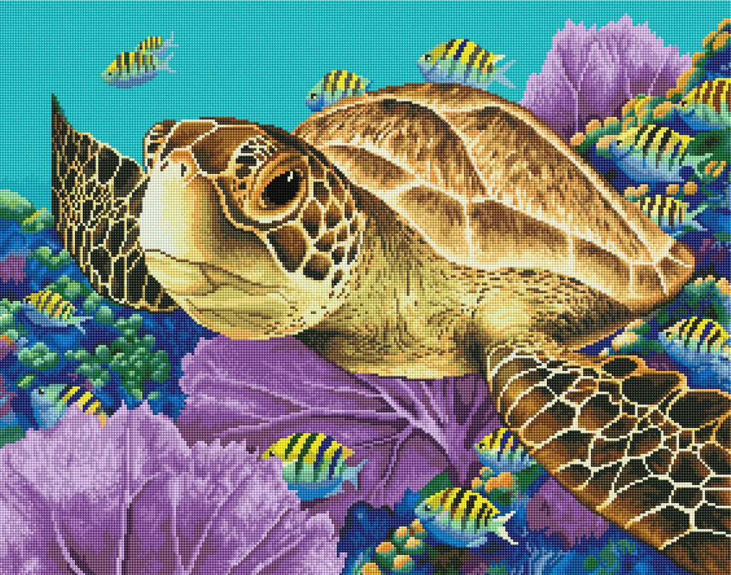 Young Green Sea Turtle